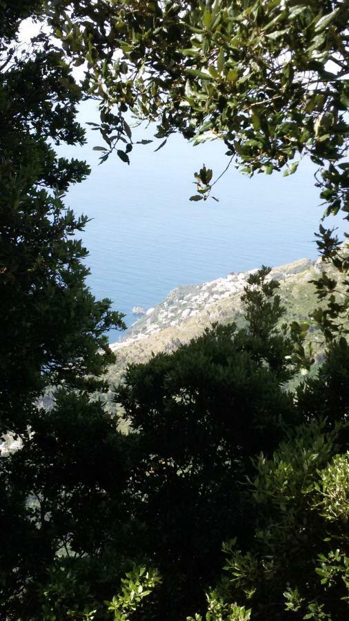 Casa Vacanza Xenia Agerola Luaran gambar